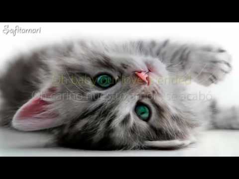 Mondays Pandemonium ft. Lilla My  - Letra+SubEspañol