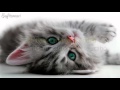 Mondays Pandemonium ft. Lilla My ...