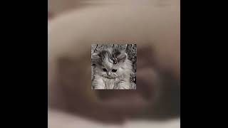 Download lagu TATA JANEETA feat MAIA ESTIANTY Sang Penggoda (Speed Up) mp3