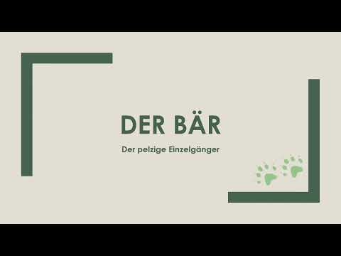 Der Bär einfach und kurz erklärt