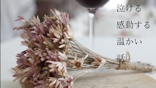 【泣ける話】【感動する話】【落ち着いた声】【睡眠導入】【朗読】　＃２