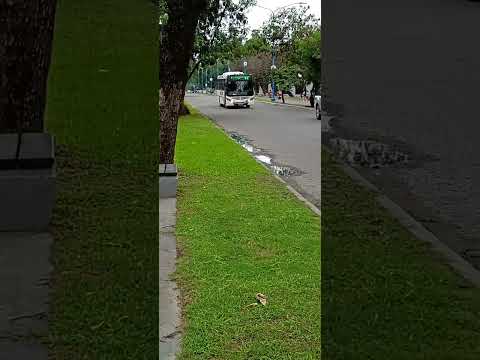 Empresa San Pedro de colalao coche 35 "El nuevo"