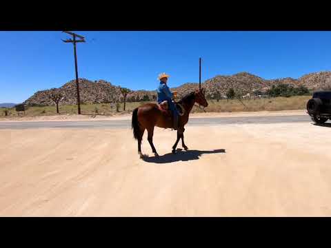 Conditional Bring Out The Thunder