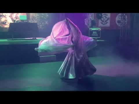 Winter Bird | Wildwood Dancing | Valentina