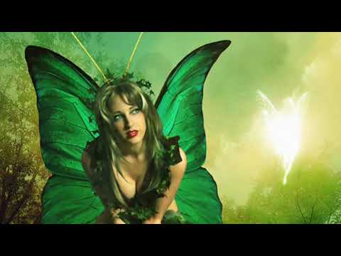 Stive Morgan S N E G  ft  Serafima ~ Wings (HD)