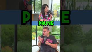 Download lagu The pros and cons of trading penny stocks with Timothy Sykes mp3