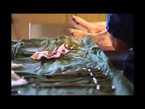 Meet The Staff - Sarina Veterinary Surgery