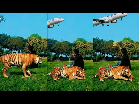 Tiktok New Trend। Magic Video Kivabe Banana। Likee Magic App। Likee Video Kivabe Banabo।