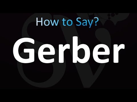 How to Pronounce Gerber (correctly!)