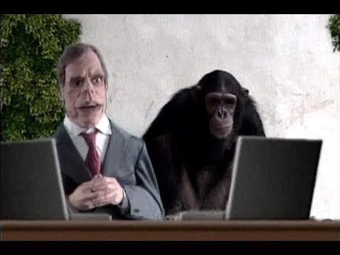 Bed manki (Bad monkey) - Nikad izvini