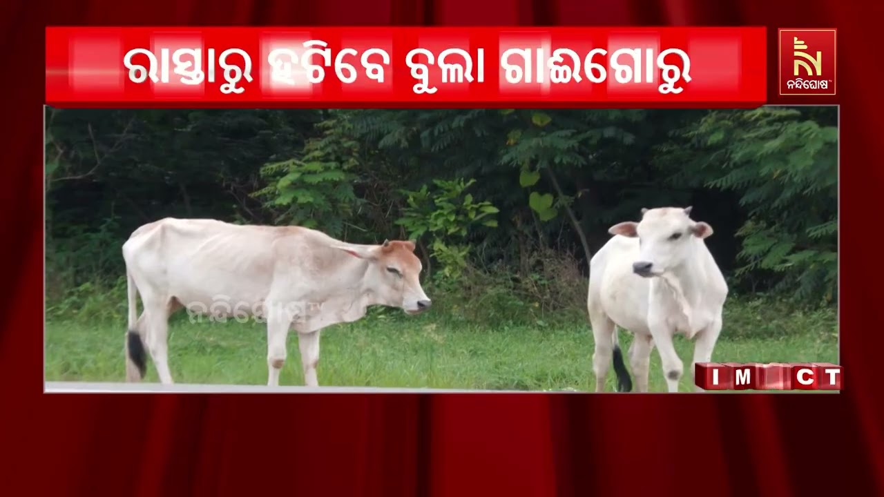 ଖବର ପ୍ରସାରଣ ପରେ ଚେତିଲେ ରାଜ୍ୟ ସରକାର ; ଜାତୀୟ ରାଜପଥ ଗୁଡ଼?