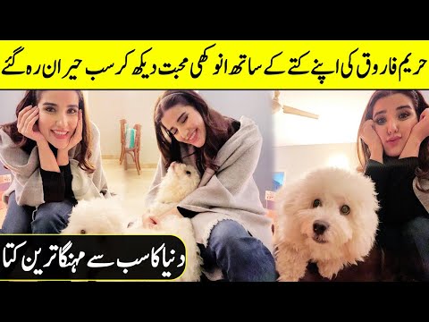 Beautiful Hareem Farooq Poses With Her Pet | Most Expensive Dog In The World | Desi Tv | TA2Q