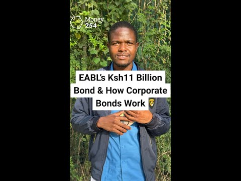 𝐄𝐀𝐁𝐋’𝐬 𝐊𝐬𝐡𝟏𝟏 𝐁𝐢𝐥𝐥𝐢𝐨𝐧 𝐁𝐨𝐧𝐝 & 𝐇𝐨𝐰 𝐂𝐨𝐫𝐩𝐨𝐫𝐚𝐭𝐞 𝐁𝐨𝐧𝐝𝐬 𝐖𝐨𝐫𝐤