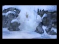 Snow Tigger
