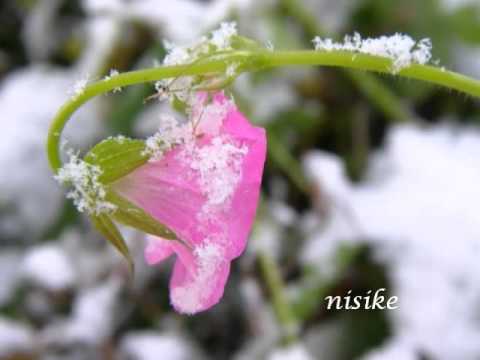 Schindler'List-Violin Solo-2