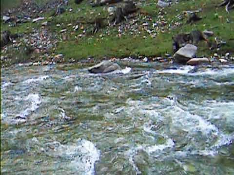 Murmurul apei la Valea Draganului