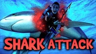 SHARK ATTACK - Le Call of Duty : Ghosts des habitants de l océan 