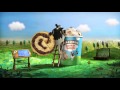 Wir Präsentieren Wich Ben Jerry S