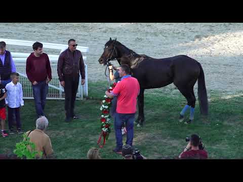 3.10.2021 Trka IV - MEMORIJAL VLADE BJELOGRLIĆA- Hipodrom Beograd