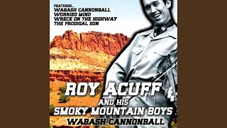 Beautiful Brown Eyes