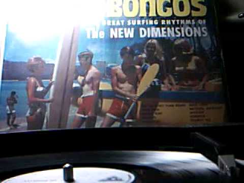 The New Dimensions -  Bongo Surf - LP cut