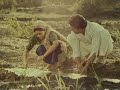 Current Full Movie Staring Om Puri Deepti Naval Directed By K Hariharan