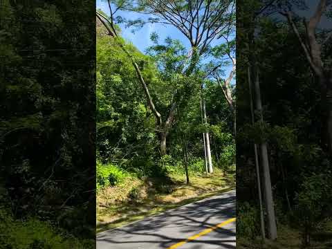 Cerro pando de anamoros la unión El Salvador hermoso paisaje