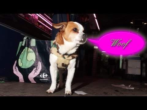 Pentax MX-1 Hands On: To Review Cat Miaows for Street Photography