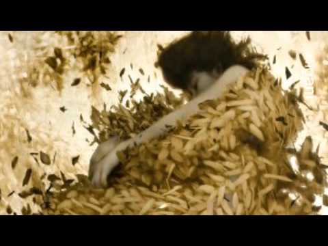 Bliss and Lisbeth Scott - Reveal