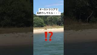 釣り女子がオーストラリアで釣りしてたら・・・ #オーストラリア #釣り #カンガルー