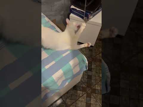 Vídeo de Sabrina 