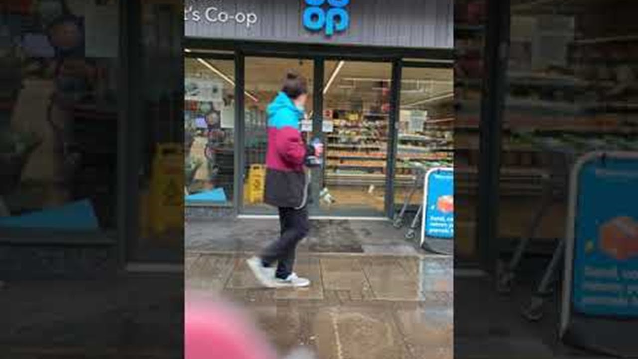 Putar video Clever Seagull Steals a Sandwich || ViralHog sekarang Clever Seagull Steals a Sandwich || ViralHog