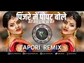 Pinjre Me Popat Bole Tapori Mix Dj