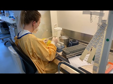 Mutationen auf der Spur - CTK startet Genomsequenzierung