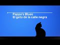 Pappo's Blues - El gato de la calle negra (letra)