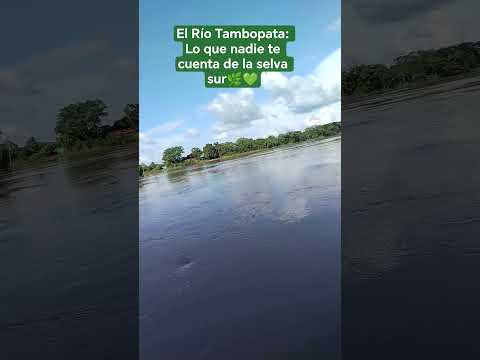 Río Tambopata Madre de Dios #fypシ #terrenosenlaselva #love #peru