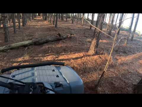 Riding The Timberwolf Again