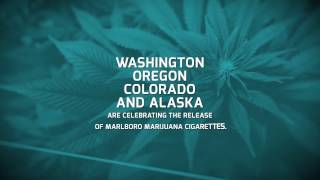 Legal Marijuana Cigarettes Now For Sale In Four U.S. States