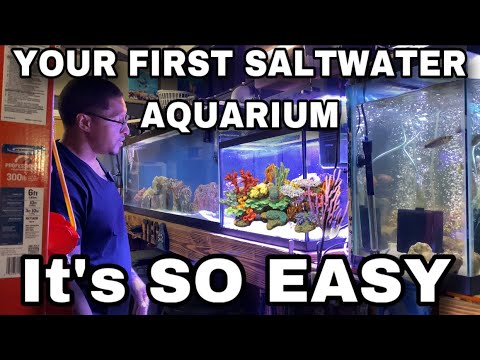 YOUR FIRST SALTWATER AQUARIUM “It’s SO EASY”