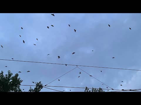 ALANSKY - ZA TE CHWILE ZŁE (OFFICIAL VIDEO)