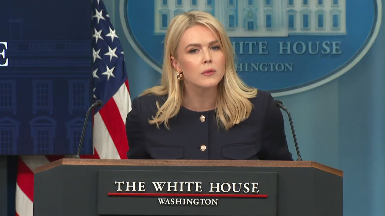 Karoline Leavitt drops DISGUSTING BOMB on live TV