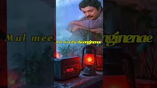 Download lagu Malaiyoram veesum kaathu-Paadu Nilave |Mohan | Nadhiya | SP balasubramanyam | Ilaiyaraaja mp3
