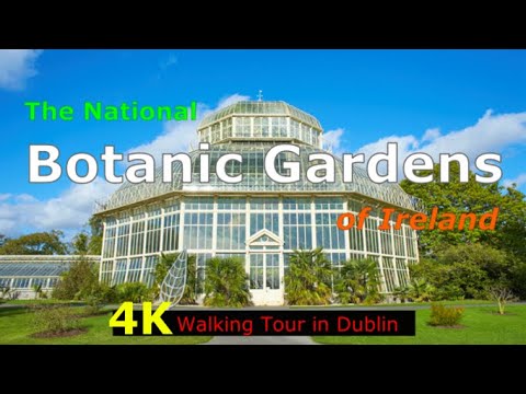 🇮🇪[4K WALK] The National Botanic Gardens of Ireland DUBLIN WALKING TOUR May 2022