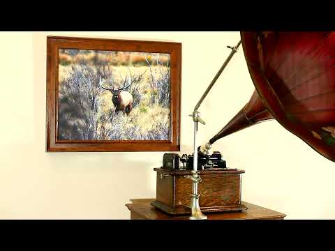 "Lucky Lindy" by Vernon Dalhart on Edison Blue Amberol Cylinder Record #5356