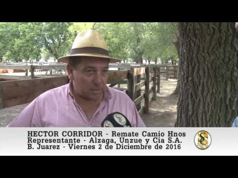 02-12-16 Hector Corridor - Alzaga, Unzue y Cia - Camio Hnos - B. Juarez