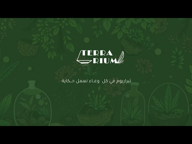 تيراريوم البونساي المعمرة الاسطوانية