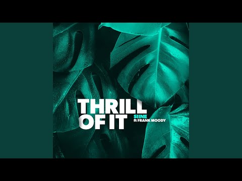 Thrill Of It (Instrumental Version)