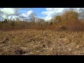 The Wilma H Schiermeier Olentangy Olentangy Wetlands