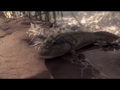 DOKU 1080p: Space Shuttle - Das Ende einer Ära