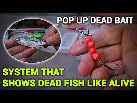 System That Shows Dead Fish Like Alive | Pop Up Dead Bait | How To Make Dead Bait Rigs For Pike